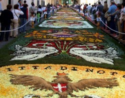 Infiorata flower festival in Noto